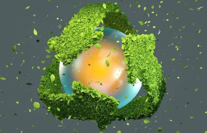 The Corporate Sustainability Reporting Directive: what should you consider?