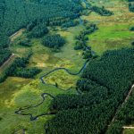 Deforestation Regulation Kneppelhout lawyers law firm