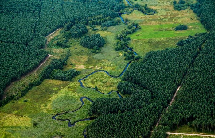 Deforestation Regulation Kneppelhout lawyers law firm